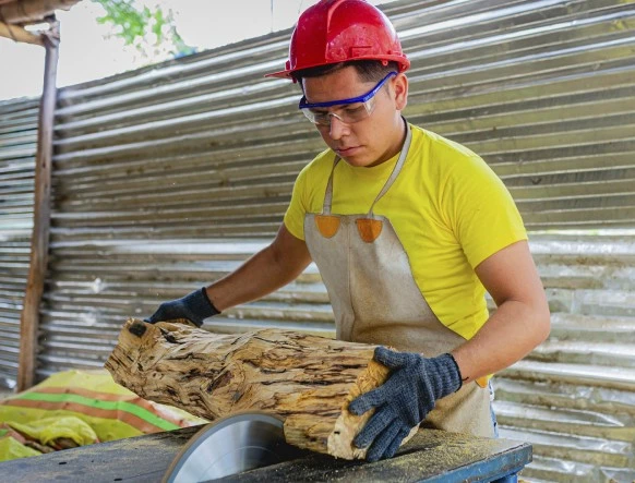 Planta Palo Santo